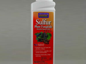 Sulfur (wettable powder)