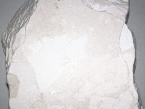 Diatomaceous Earth — Amorphous SiO₂