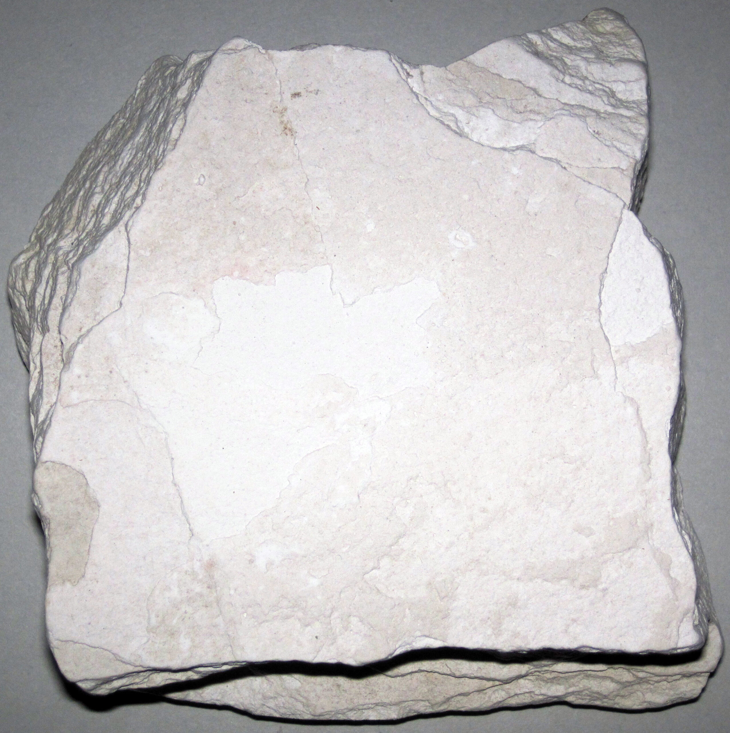Diatomaceous Earth — Amorphous SiO₂