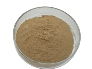 Rennet Enzyme (Chymosin)