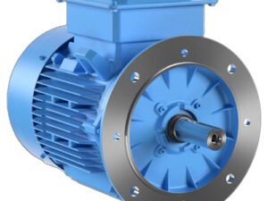 IE3/IE4 industrial electric motor