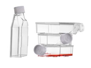 T75 cell culture flask