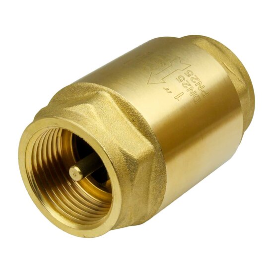 Check Valve Spring Loaded Type - Image 2