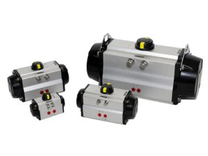Pneumatic actuator rotary