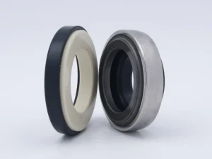 Cartridge mechanical seal B01 type