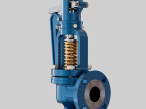 Safety relief valve
