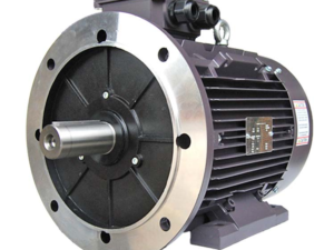 Electric Motor IEC Standard Frame