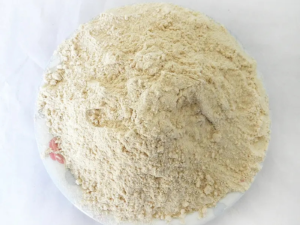 Vital Wheat Gluten — CAS 8002-80-0