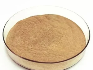 Alpha Amylase Enzyme — EC 3.2.1.1