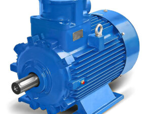Explosion-proof motor (ATEX)