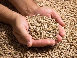 Wood Biomass Fuel