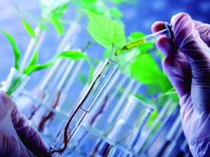 BIOSTIMULANTS / SPECIALTY INPUTS