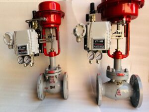 Check Valve Swing Type