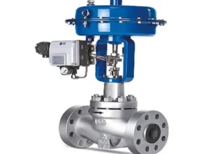 Globe Valve Control Type