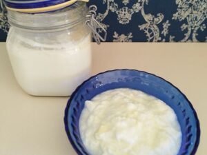 Yogurt Starter Culture — Streptococcus thermophilus