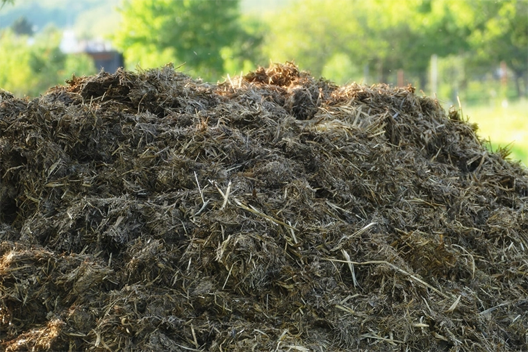 Industrial Specialty Bio-Chemical Feedstock