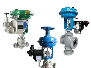 Globe control valve