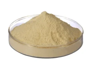 Industrial Amino Acid Feedstock