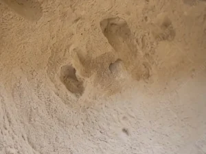 Refinery Catalyst Dust (PGM)