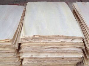 Rotary Veneer Poplar