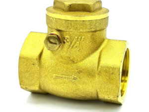 Check valve non-return