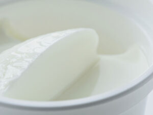 Yogurt Starter Culture (FD-DVS)