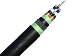 Shielded Control Cable — IEC 60502