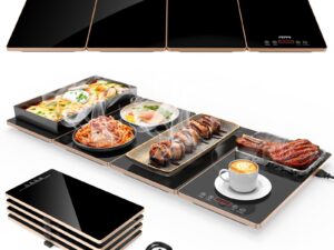 Food Warming Tray Electric Unit — HFS-010