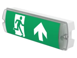 Emergency bulkhead light — IEC 60598-2-22