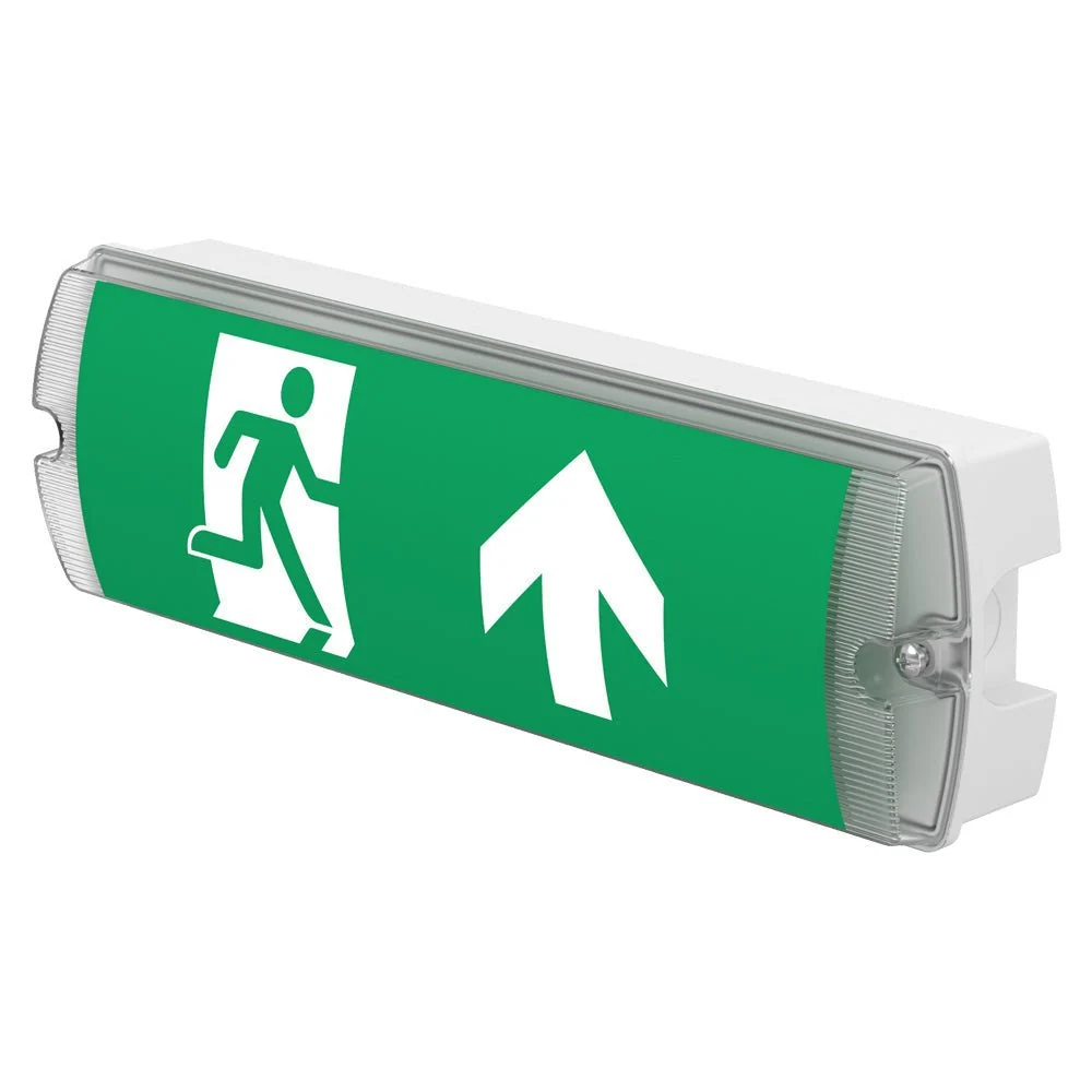 Emergency bulkhead light — IEC 60598-2-22