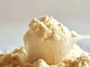 Demineralized Whey Powder 40% DPS-001