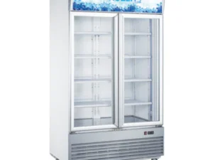 Glass Door Upright Display Freezer GDF-001