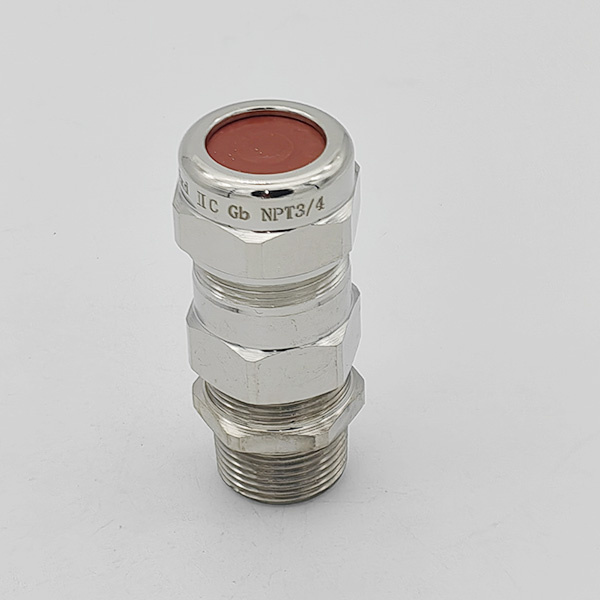 Brass cable gland IP68 double compression — IEC 62444 - Image 2