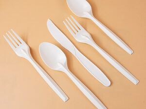 Disposable Cutlery Set Fork Spoon Knife — DFP-009