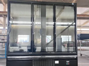 Frozen Food Display Cabinet FDC-010