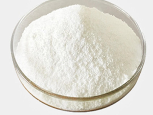 Prebiotic Probiotic Matrix SYN-009