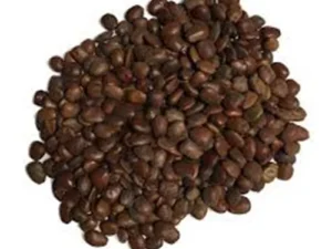 Locust Bean Gum ESS-008