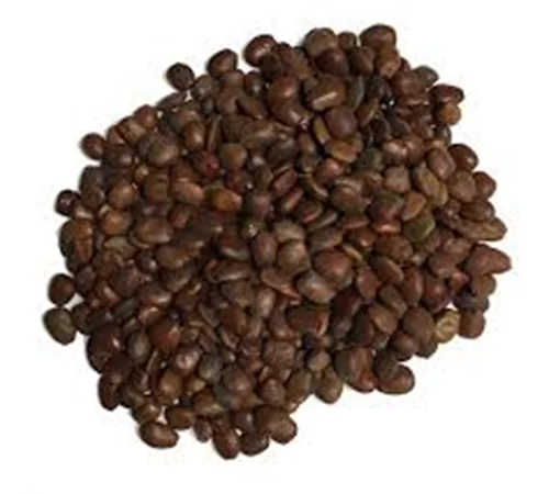 Locust Bean Gum ESS-008
