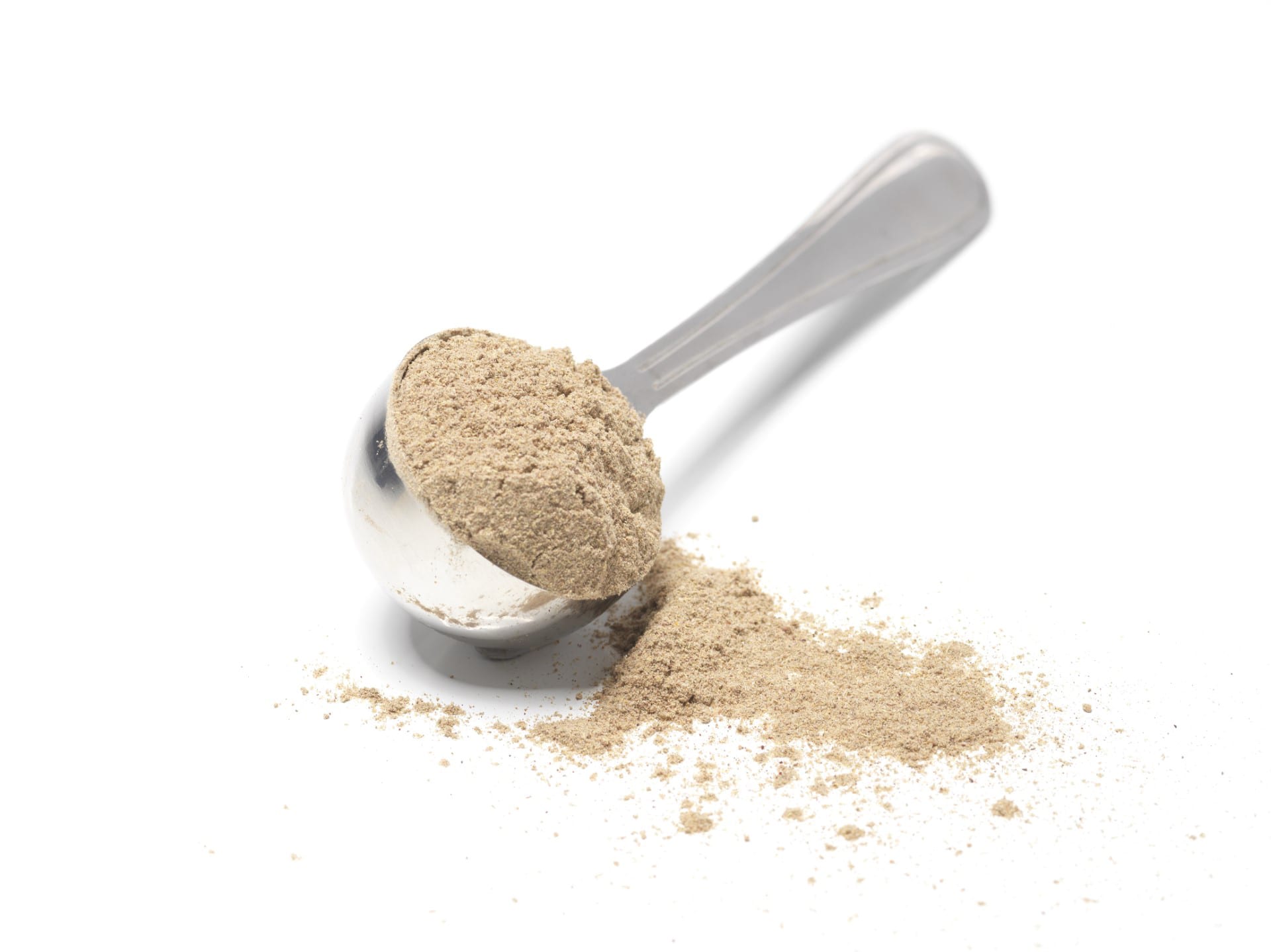 Organic Lactose Powder OIF-004