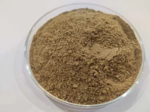Bifidobacterium Breve PGS-004