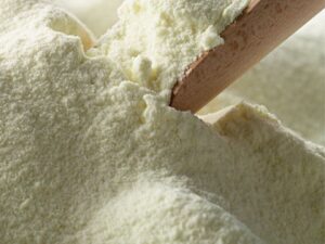Demineralized Whey Powder 70% DPS-002
