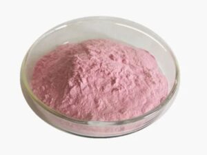 Lactoferrin Bioactive Powder BNS-001