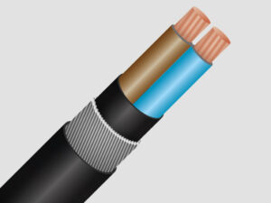 Armoured Control Cable — IEC 60502