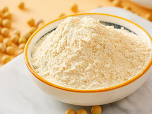 Soy Protein Isolate Infant Grade SOY-001