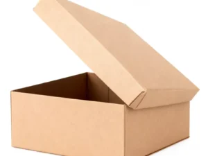 Water Resistant Wax Coated Corrugated Carton
