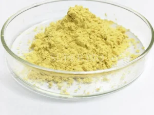 Rosemary Extract Antioxidant Powder