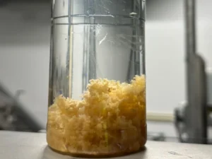High Salinity Sludge Treatment Flocculant Polymer — SCD-010