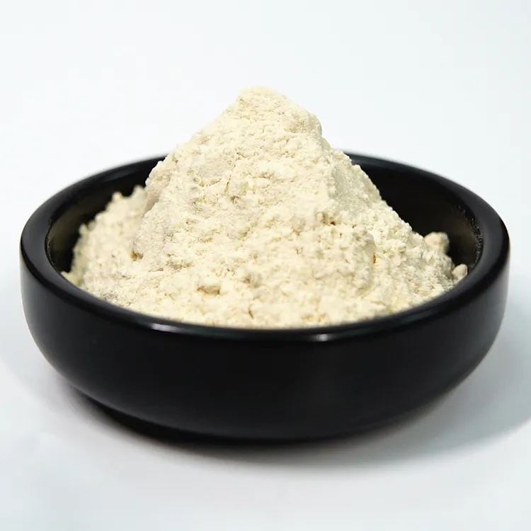 Guar Gum Powder Food Grade (GG-5000)