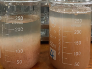 Sludge Thickening Coagulation Polymer Blend — SCD-004