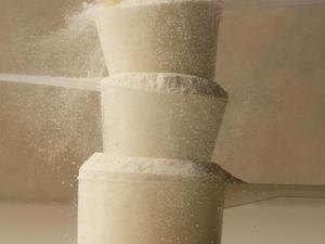 Whey Protein Concentrate Powder 80% (WPC-80)